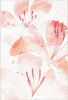 Soft Pink Watercolor Floral Accent Rug 