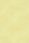 Washable Textured Yellow Area Rug Yellow