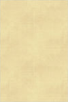 Washable Textured Beige Area Rug Beige