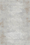 Sable Shore Distressed Gray Rug Gray